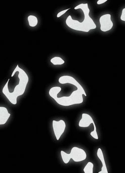 Stickers Réfléchissants Léopard - Bookman -Accessoires vélo Soldes stickers reflechissants leopard bookman 3